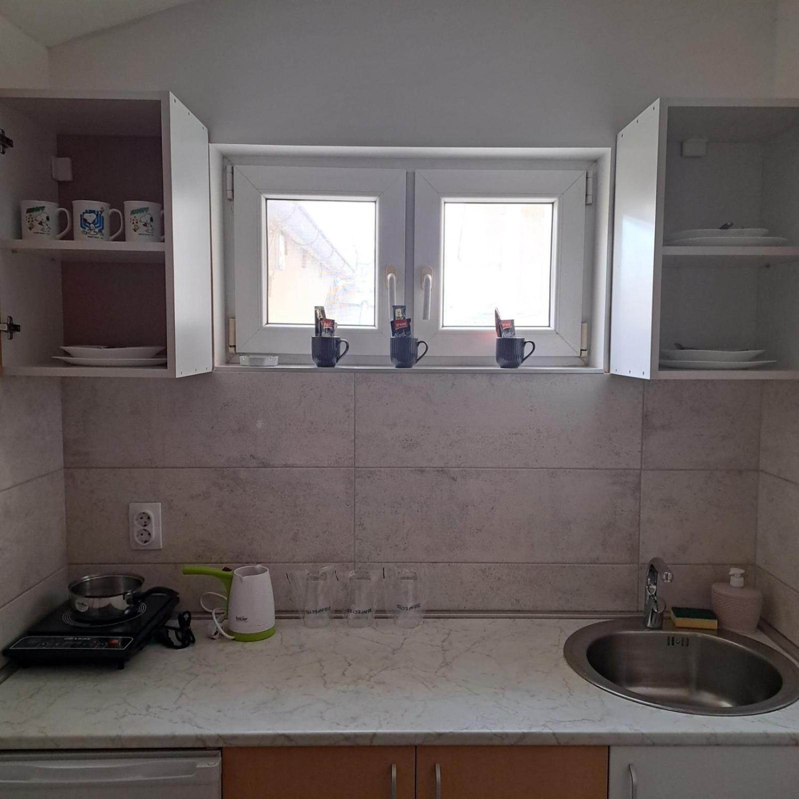Libero Apartmani Surčin Cameră foto